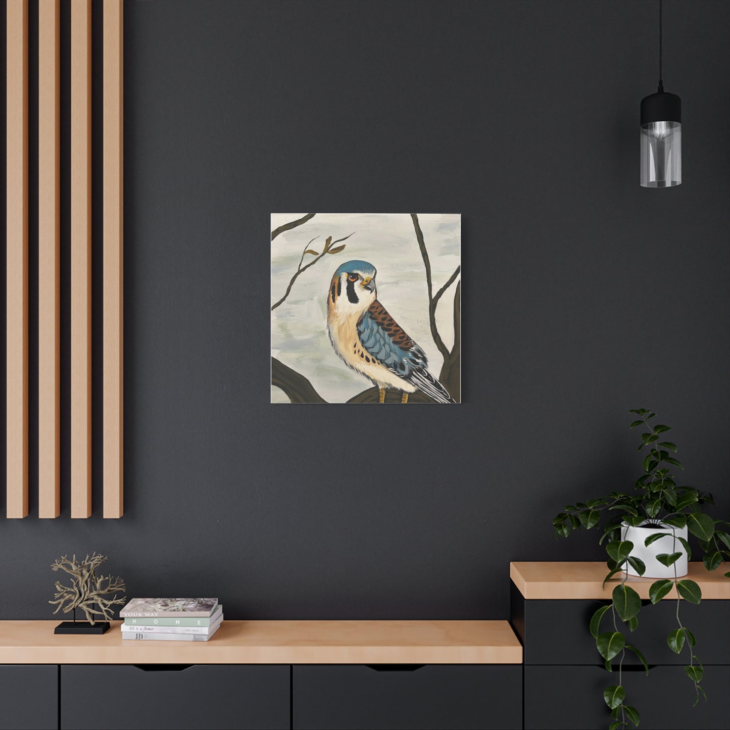 American Kestrel