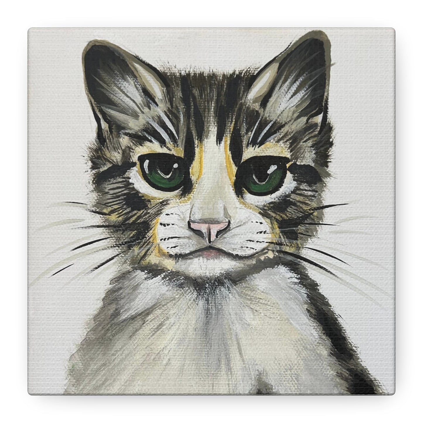 Kitty