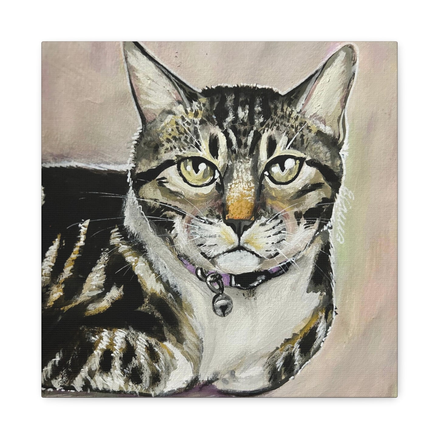 The Cat
