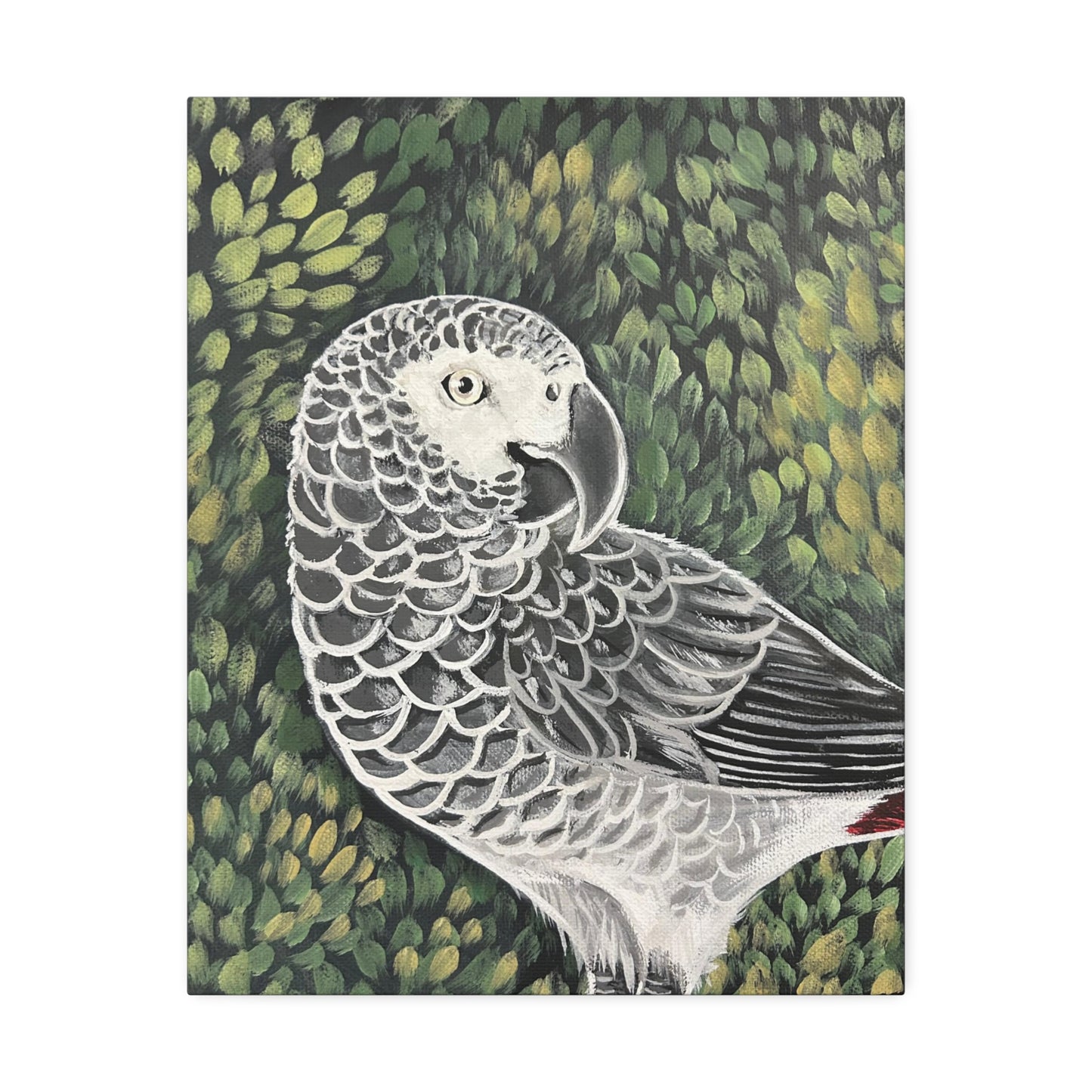 Congo Grey Parrot