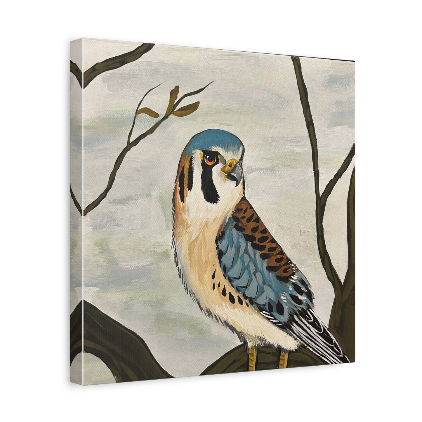 American Kestrel
