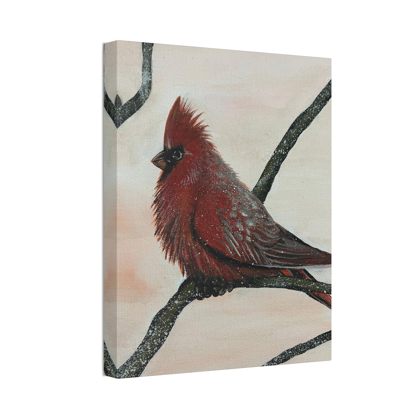 Winter Cardinal