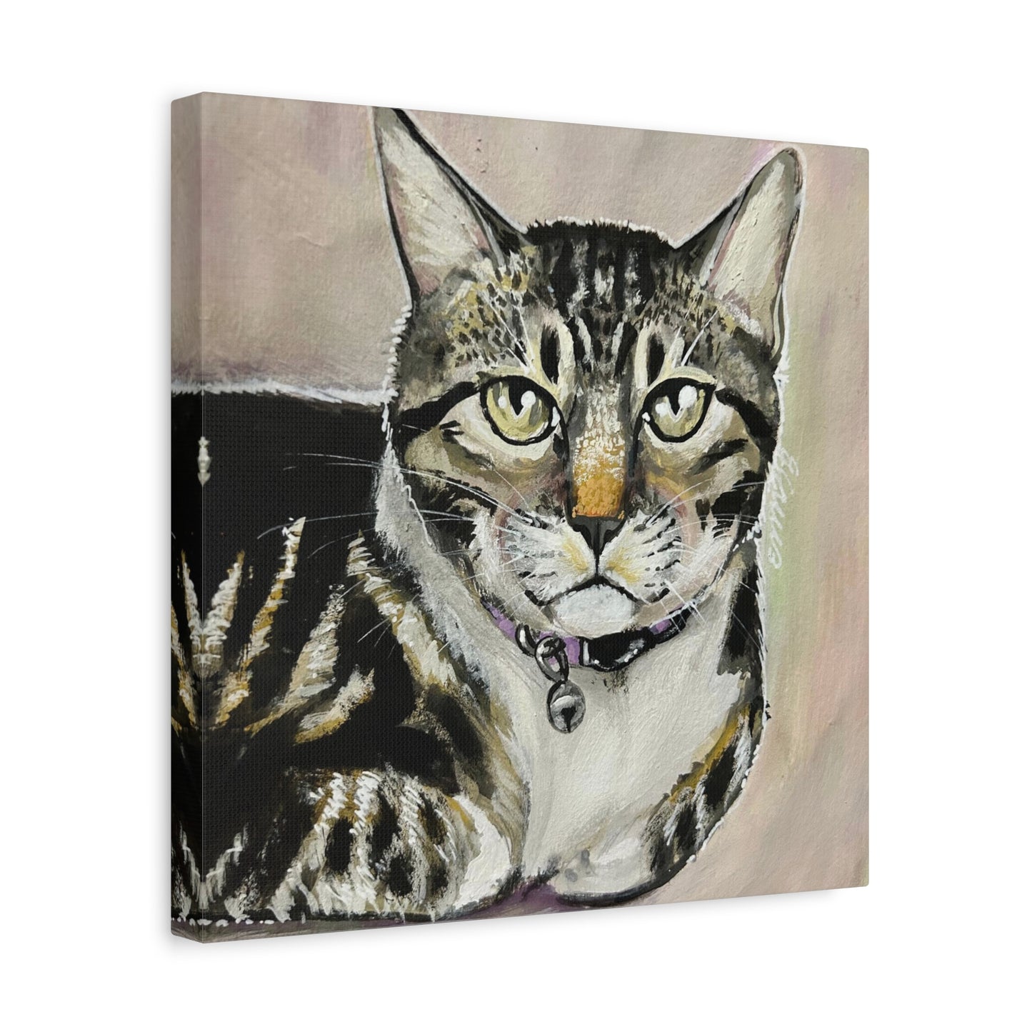 The Cat