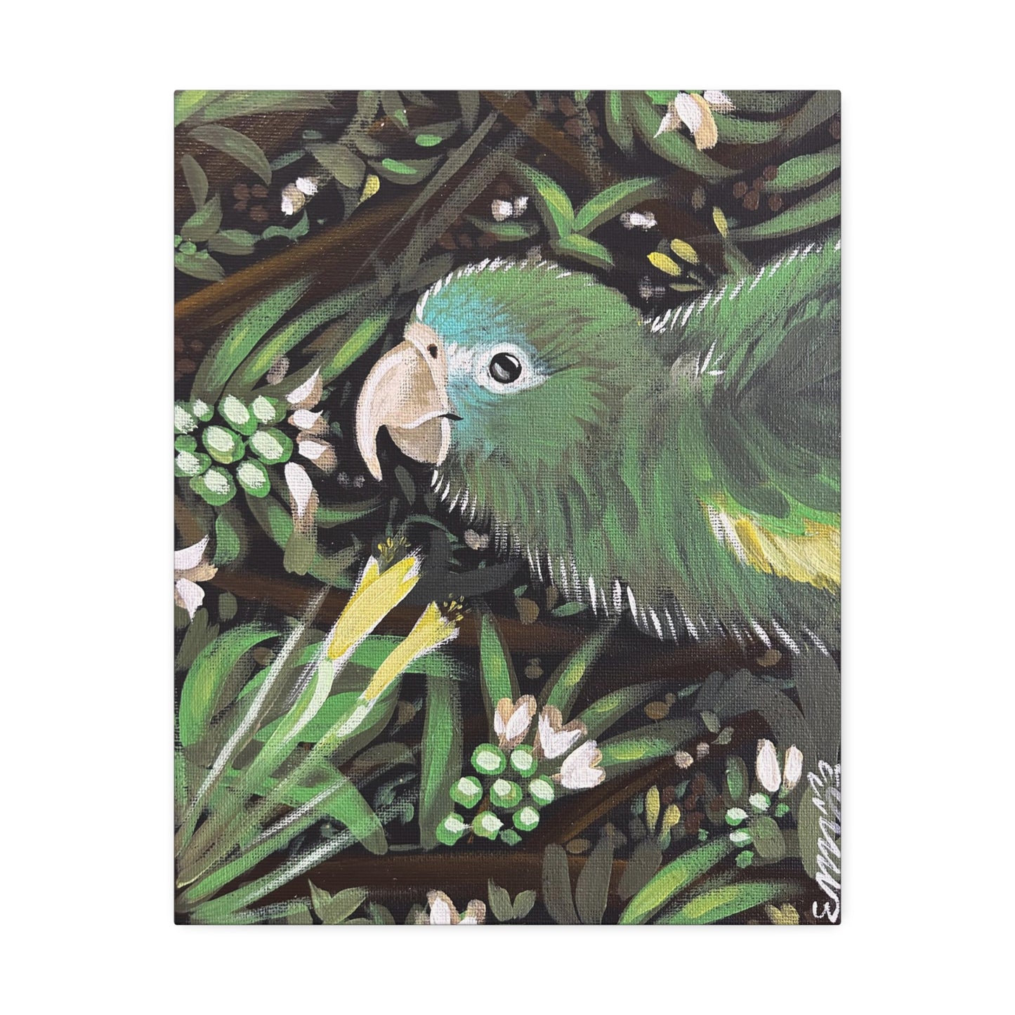 Kiwi The Parrot