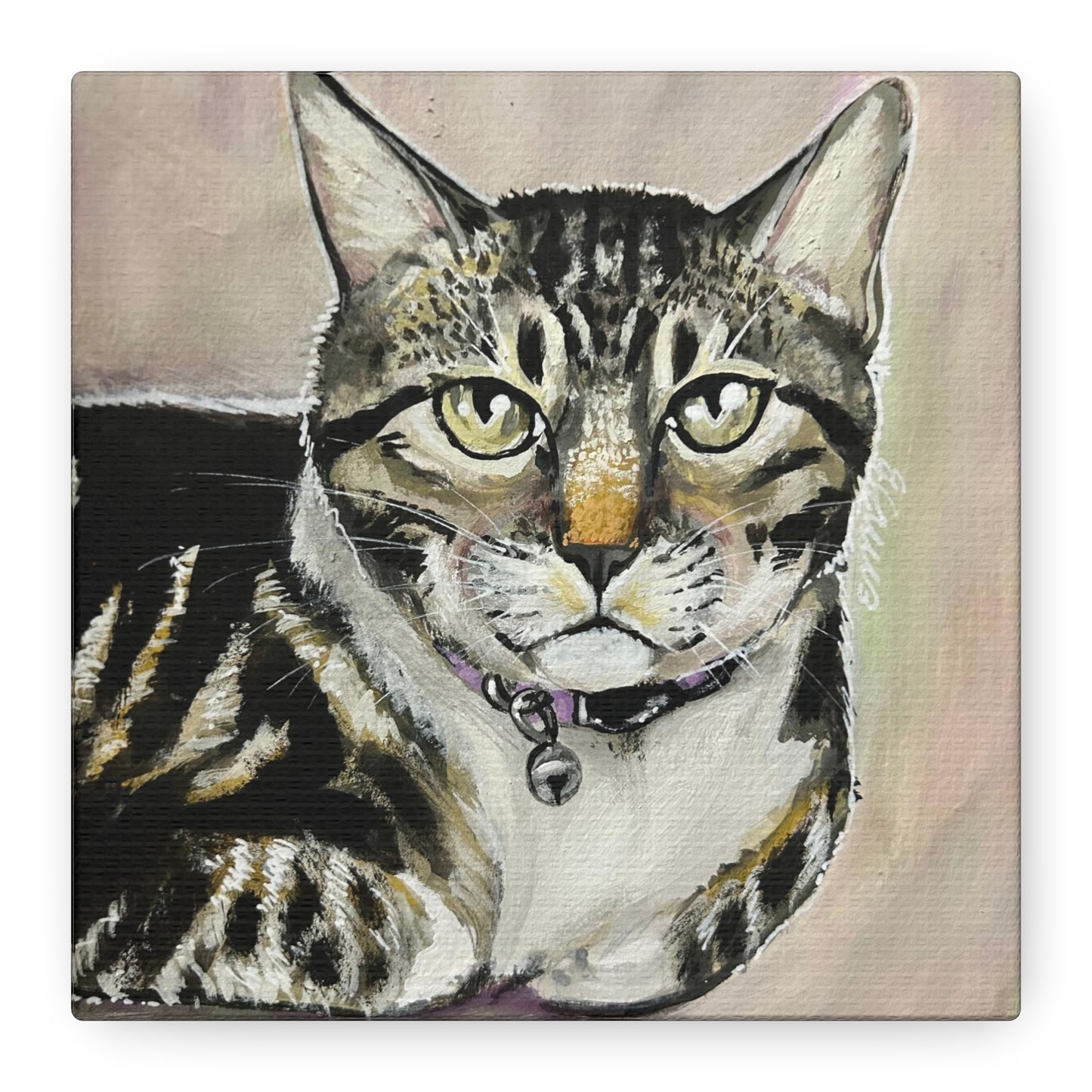 The Cat