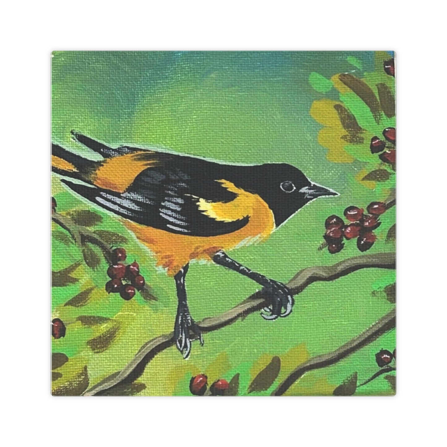 Baltimore Oriole