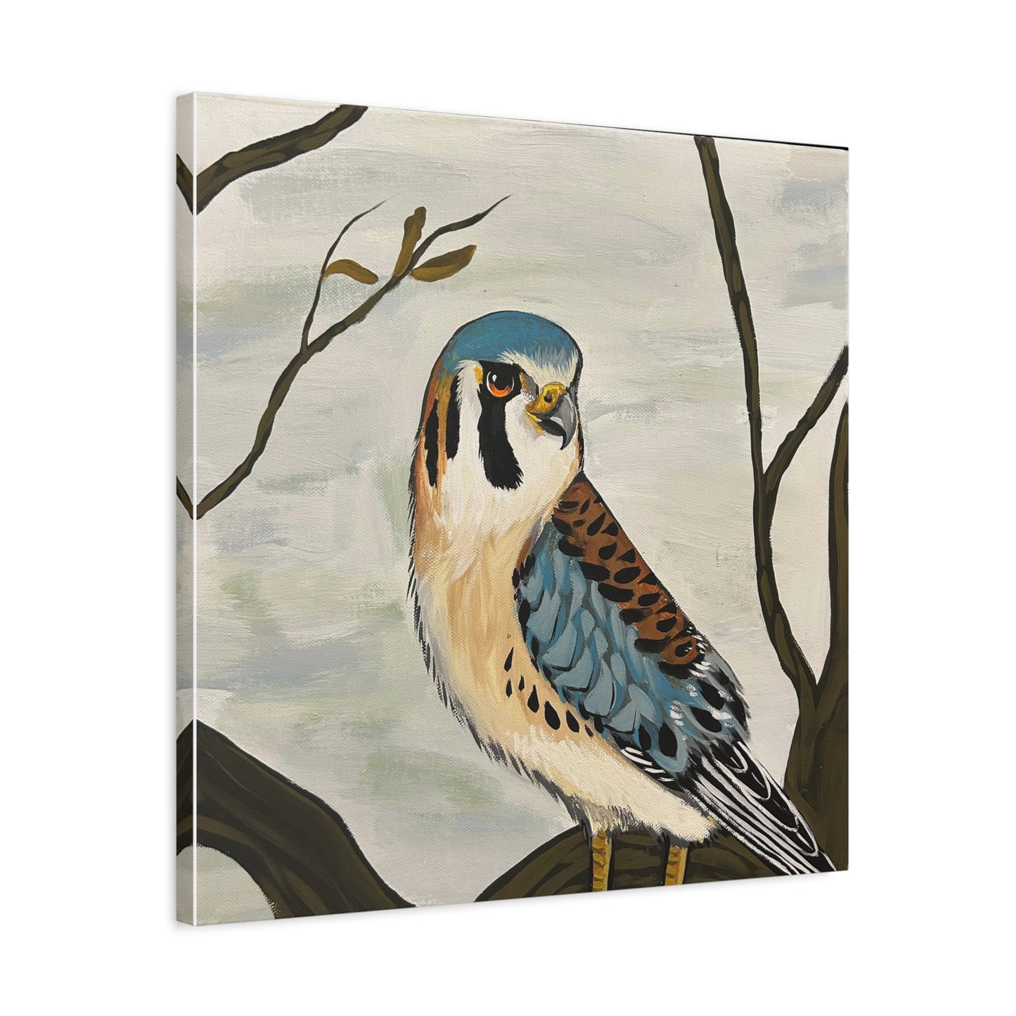 American Kestrel