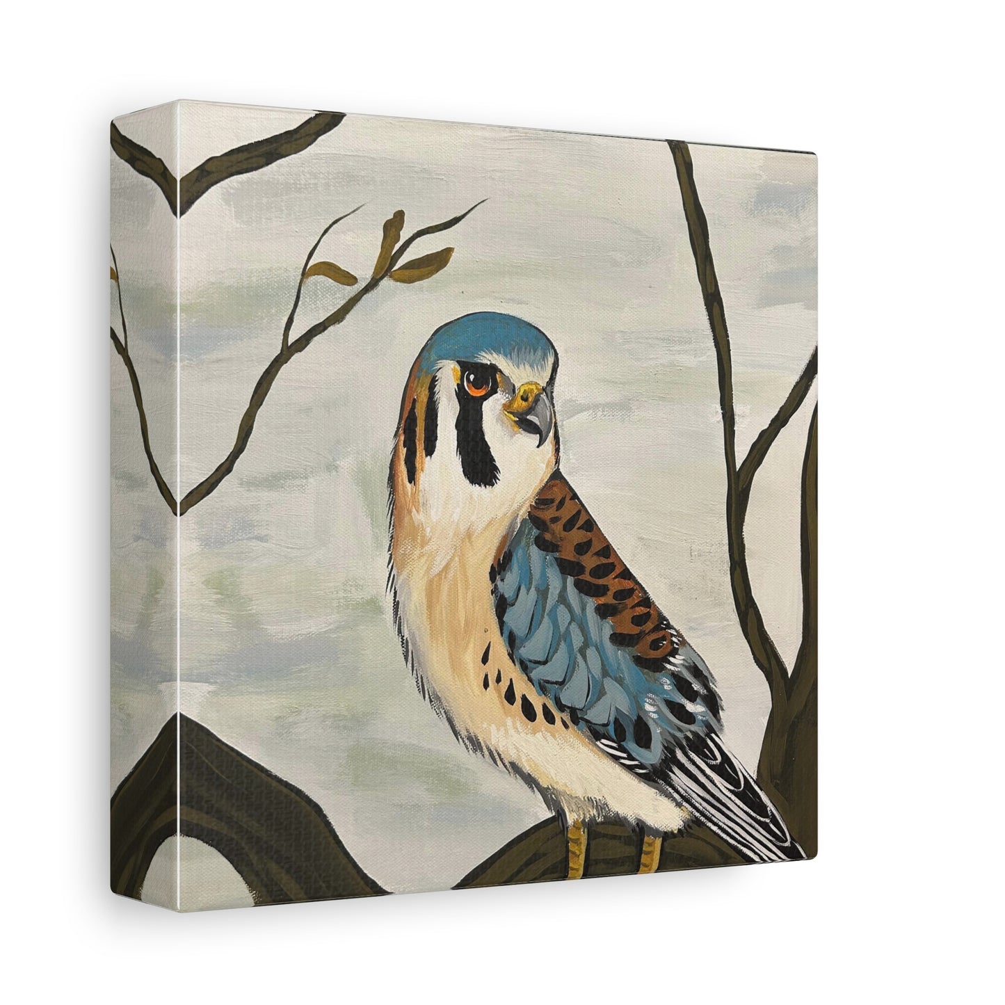 American Kestrel
