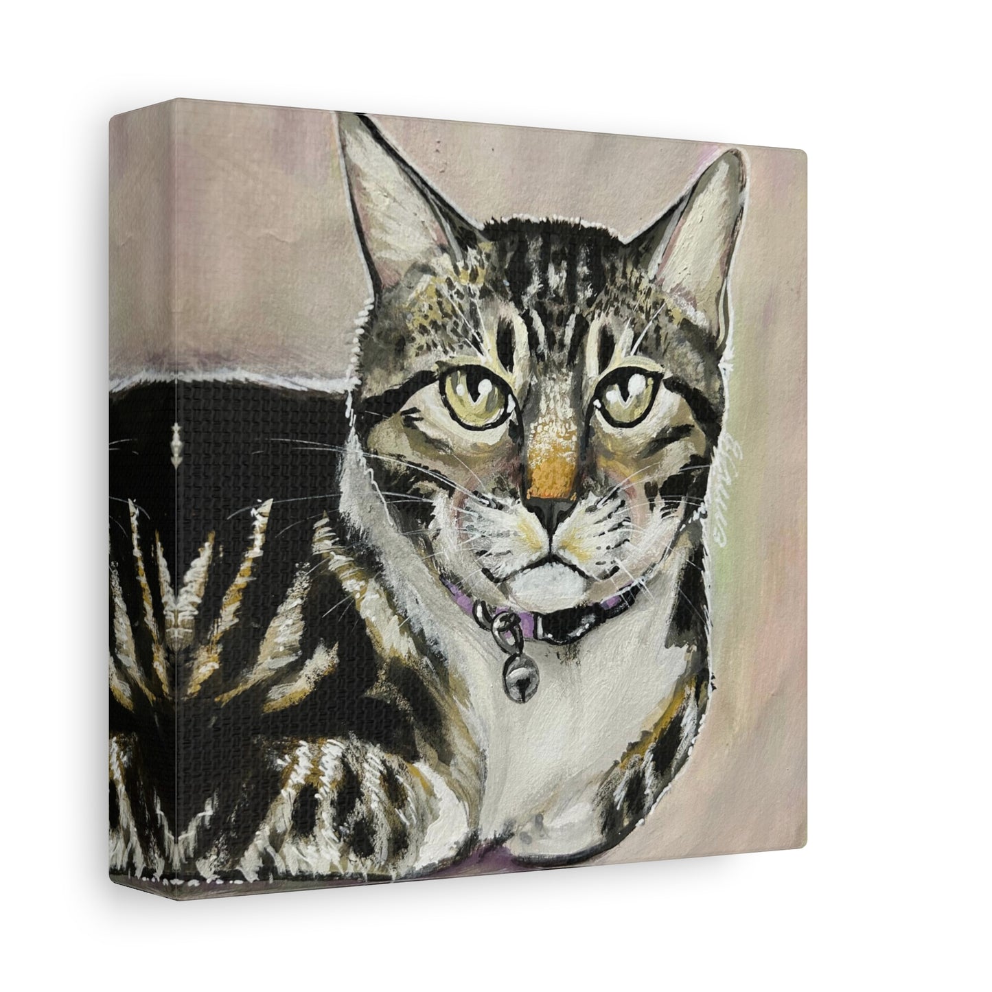 The Cat