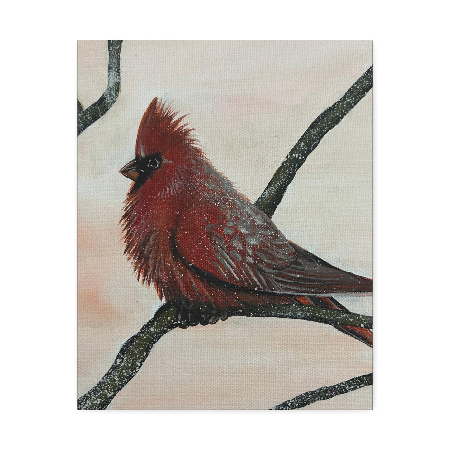 Winter Cardinal