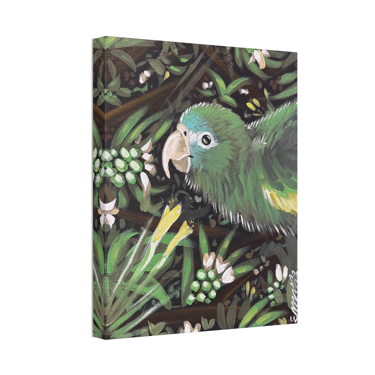 Kiwi The Parrot