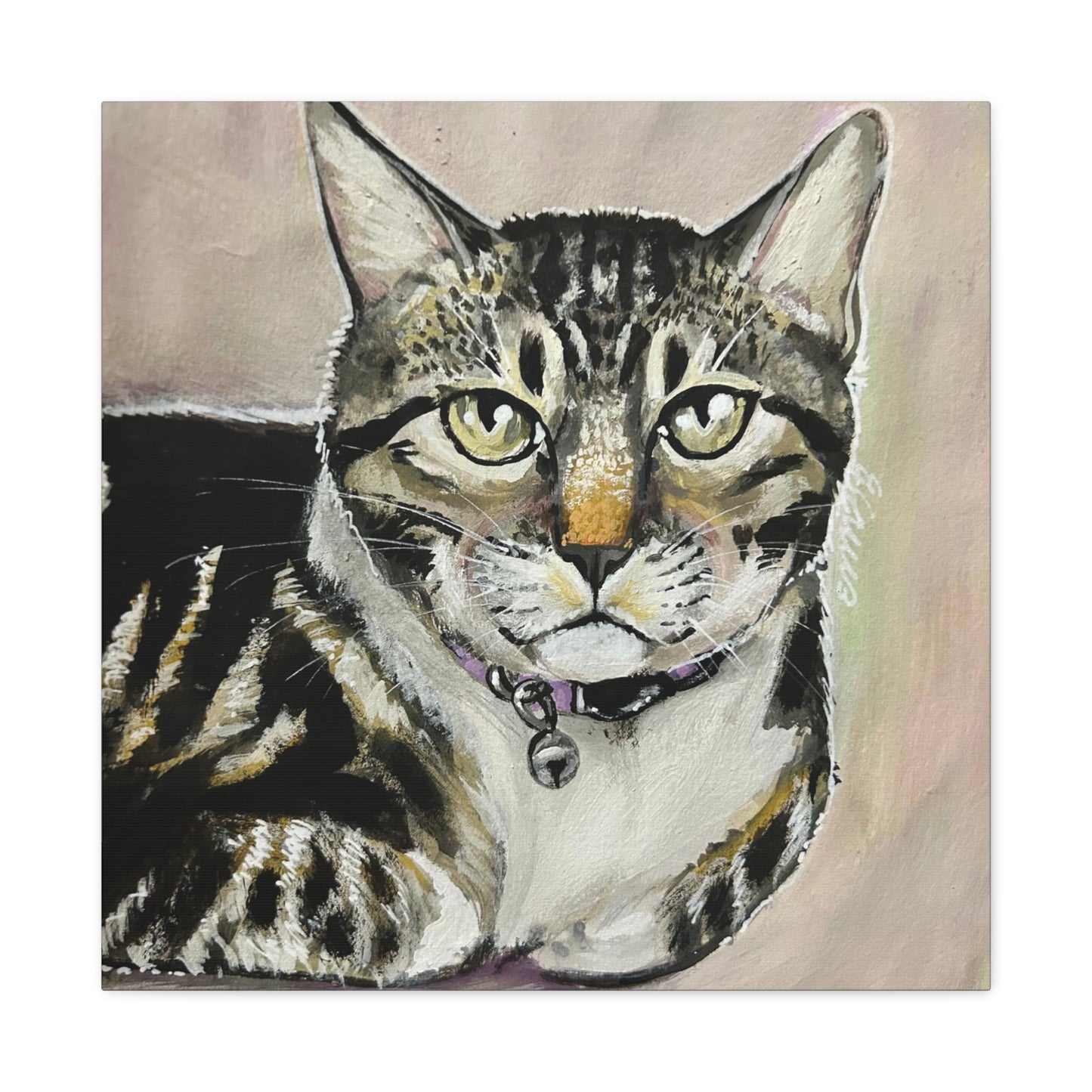 The Cat