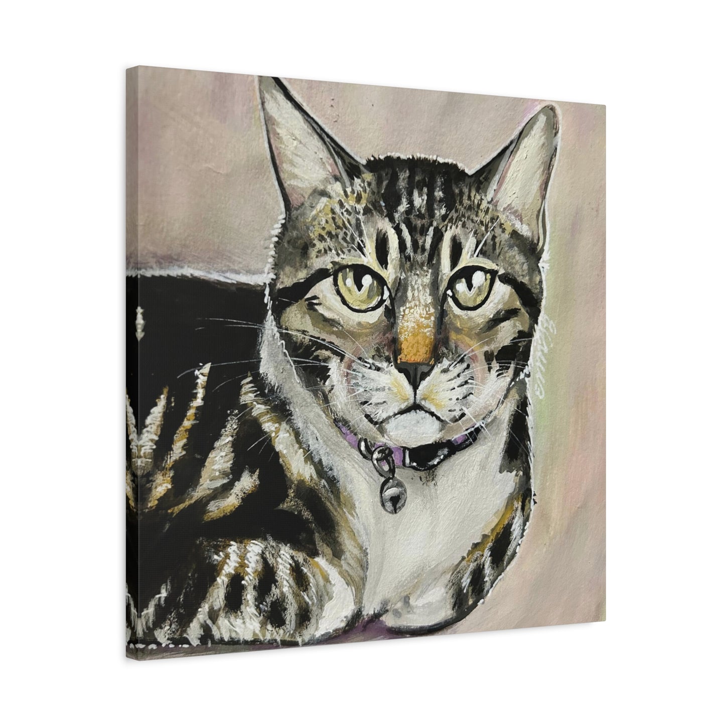 The Cat