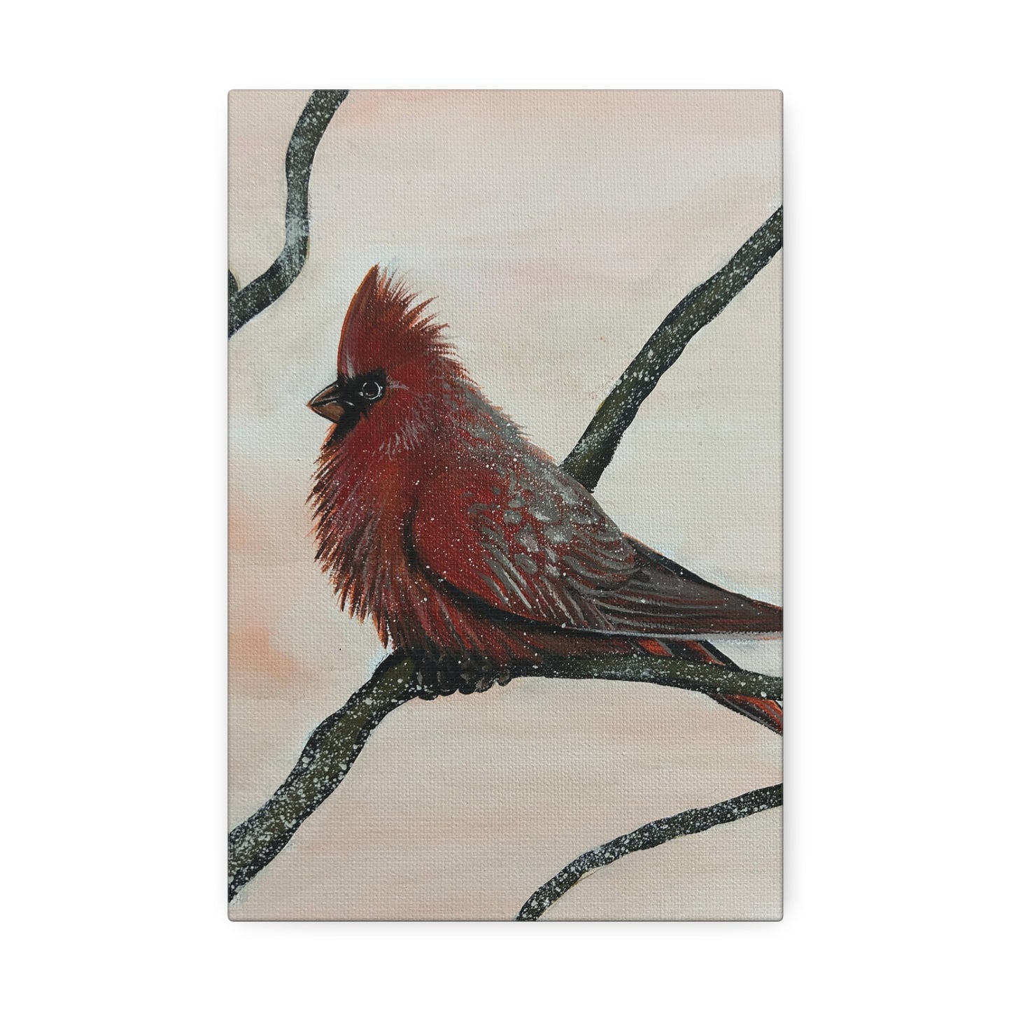 Winter Cardinal