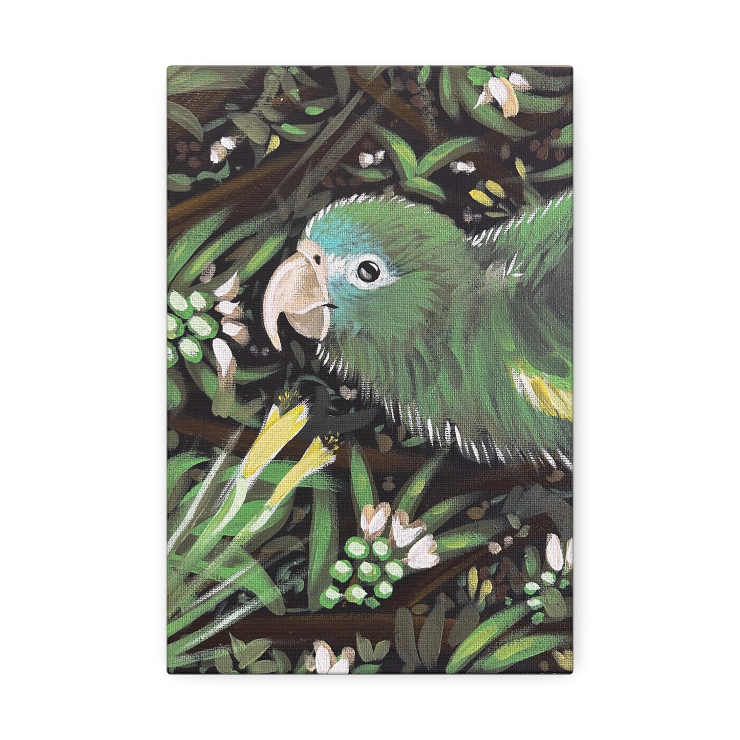 Kiwi The Parrot