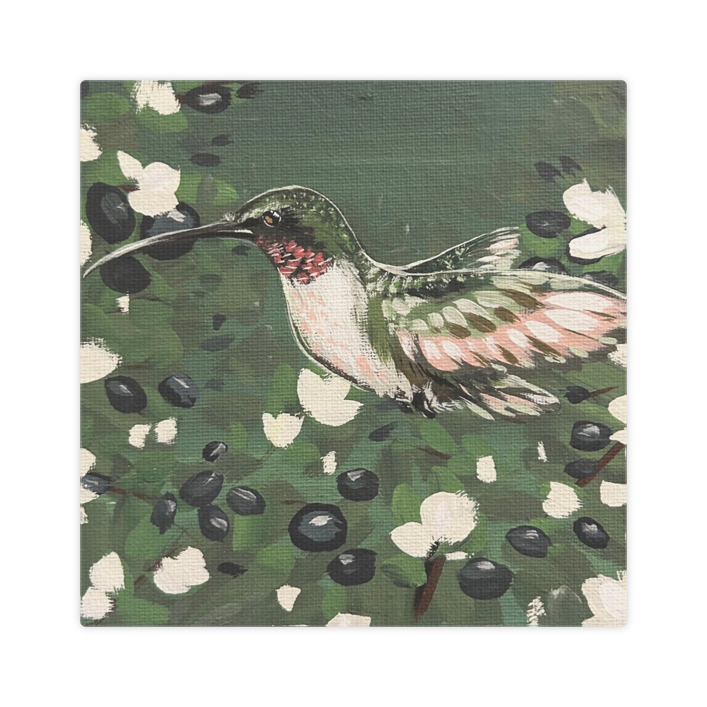 Ruby Throated Hummingbird in Blueberry Bushes