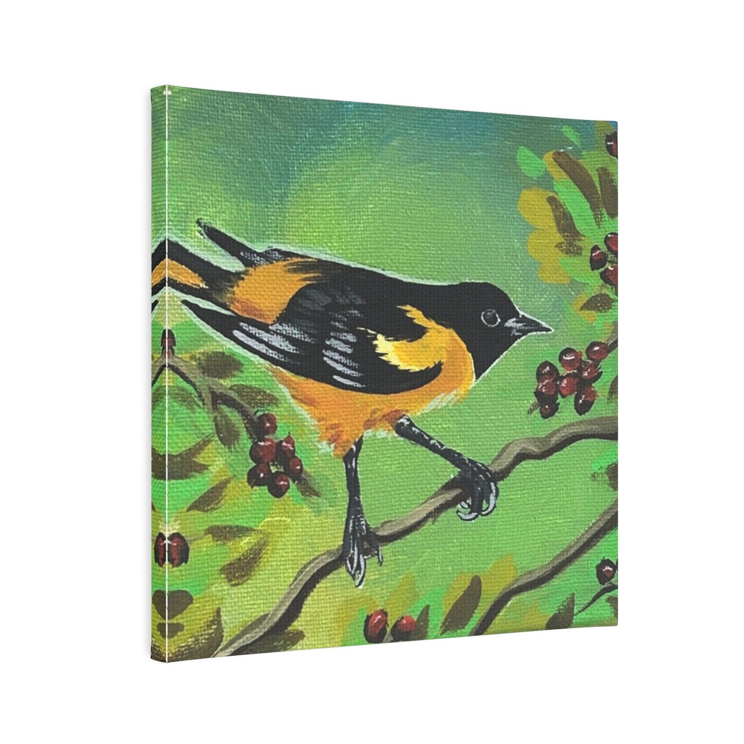Baltimore Oriole