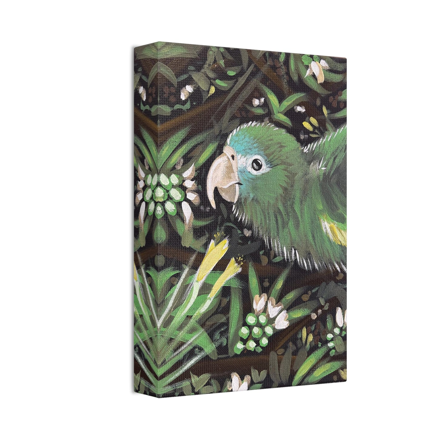 Kiwi The Parrot