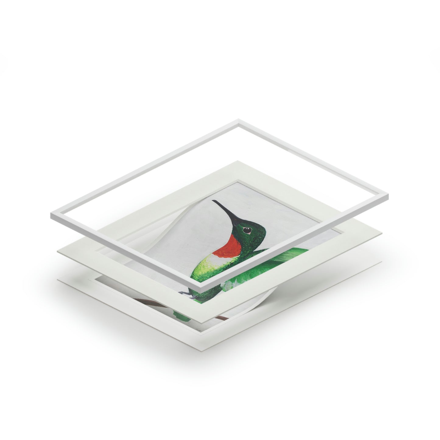 Ruby-throated Hummingbird (Fine Art Prints)