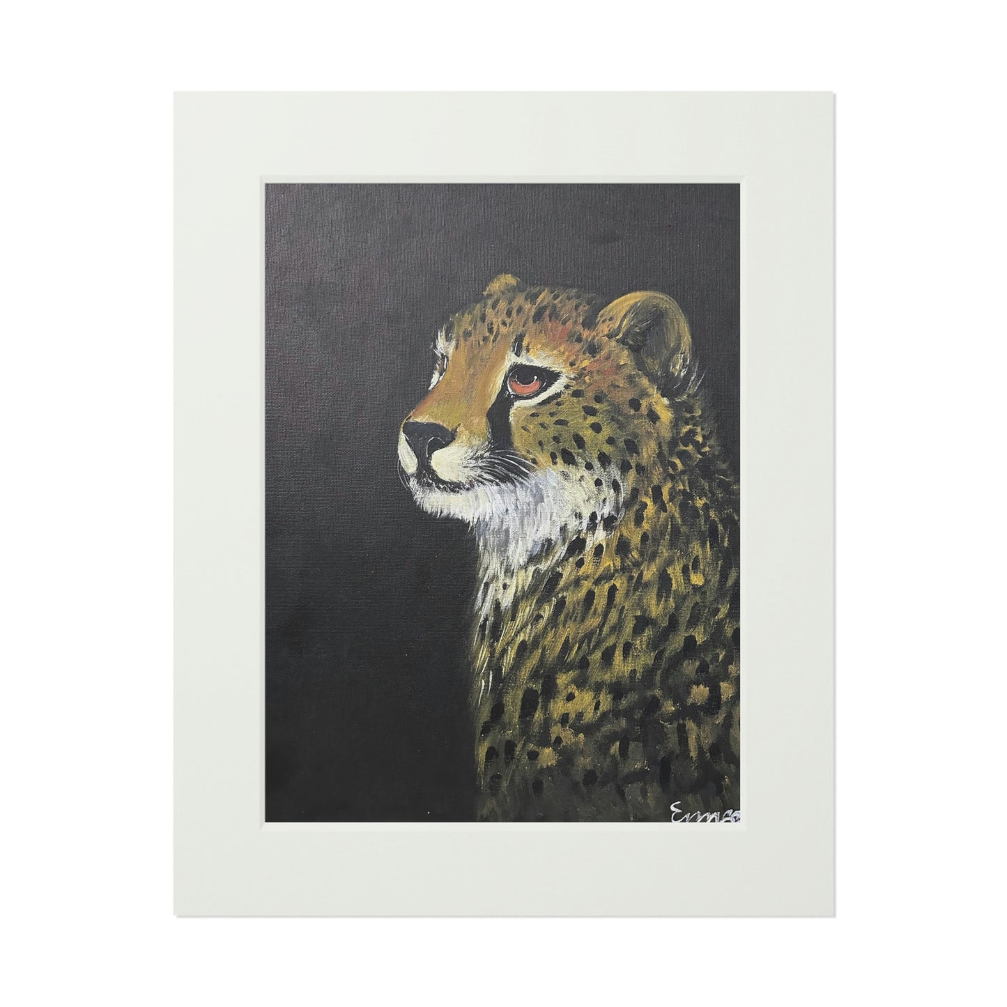 Night Watch Endangered Cheetah (Fine Art Prints)