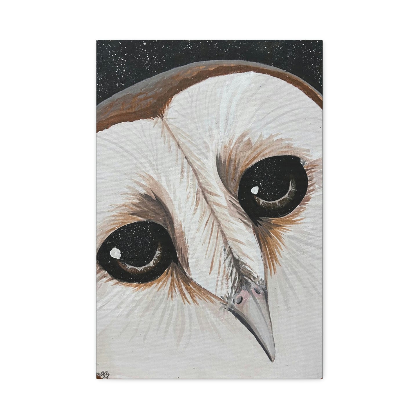 Star Eyed Owl - Canvas