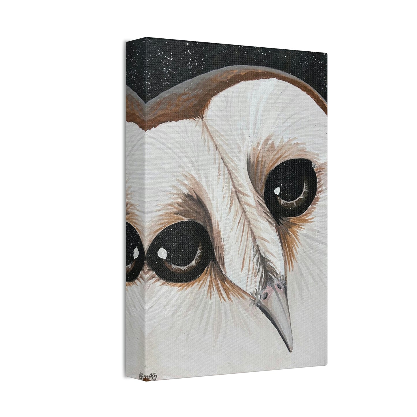 Star Eyed Owl - Canvas