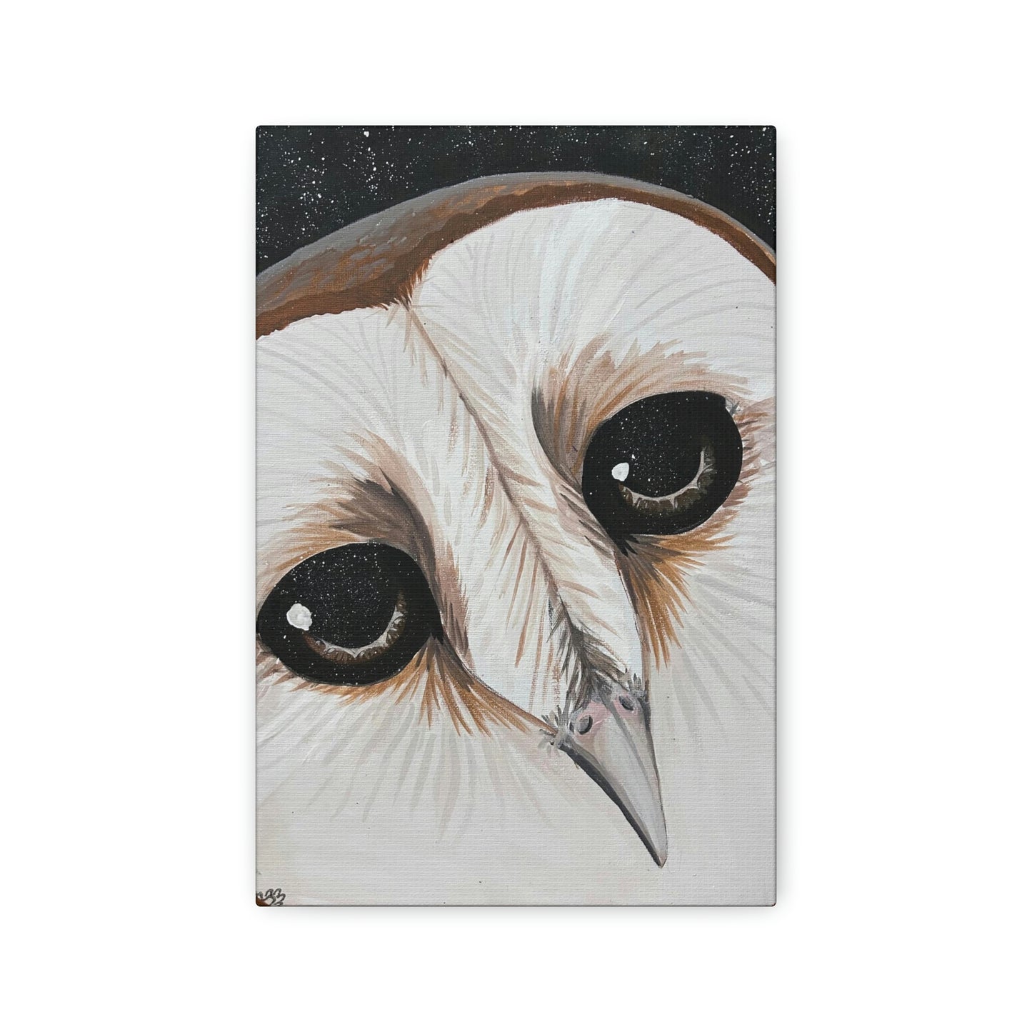 Star Eyed Owl - Canvas