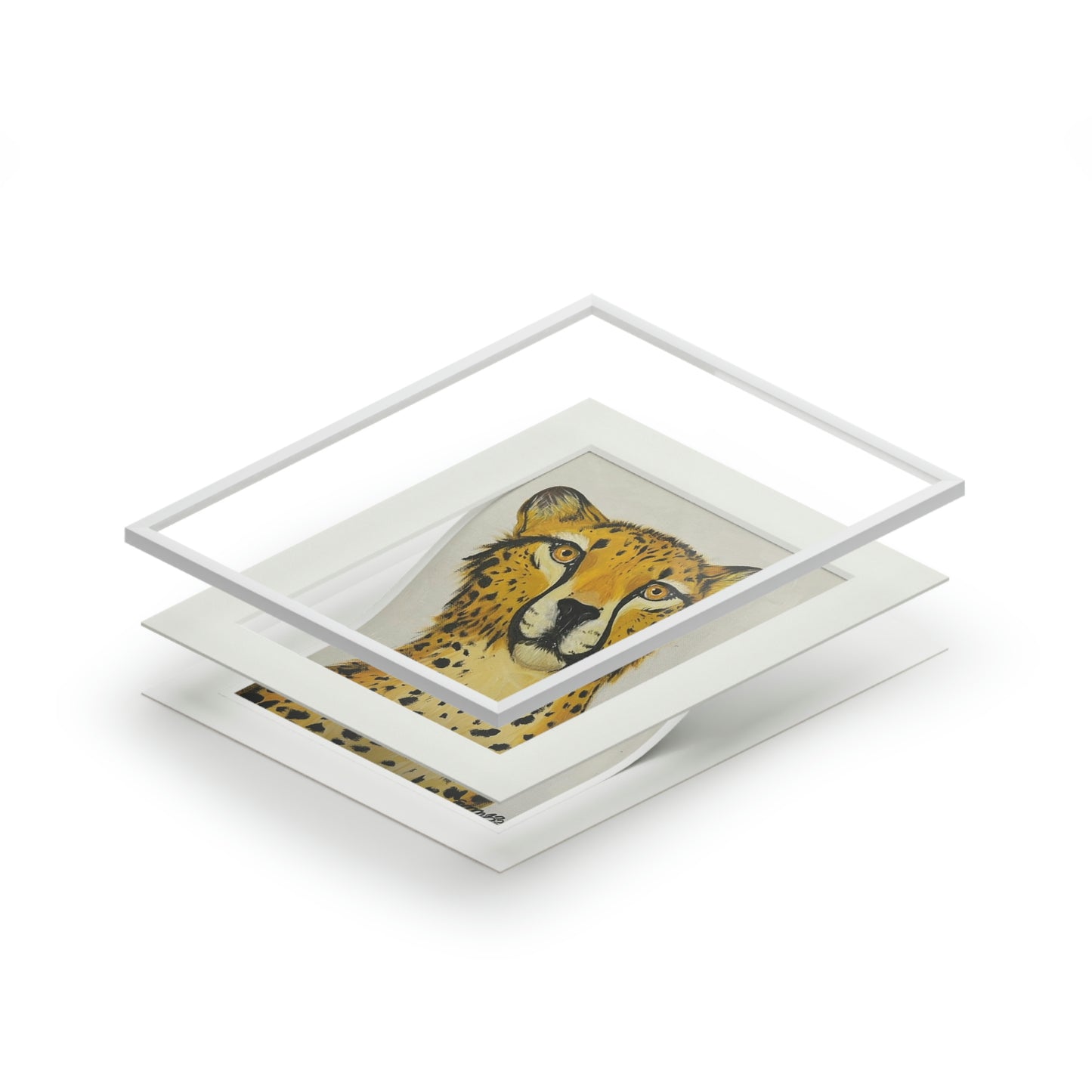 Cheetah - Big Cat Collection (Fine Art Prints)