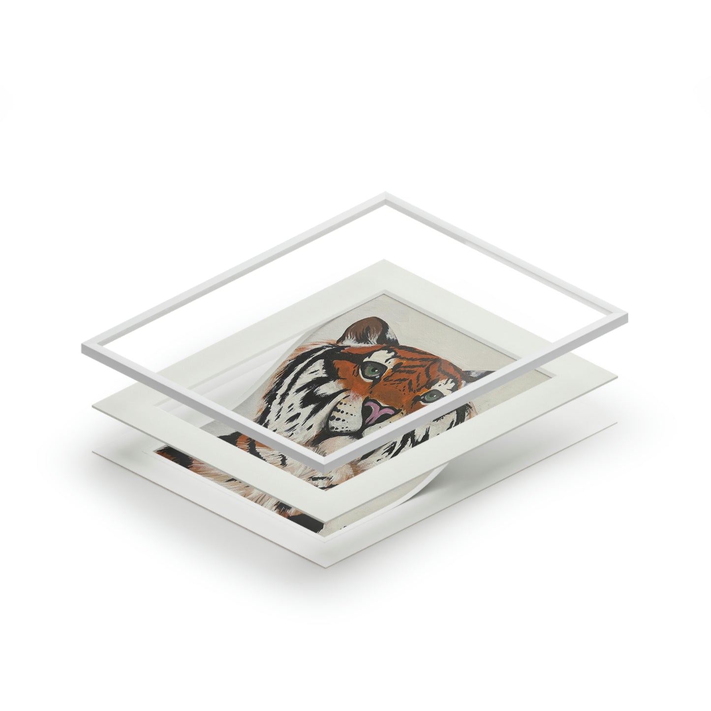 Tiger - Big Cat Collection (Fine Art Prints)