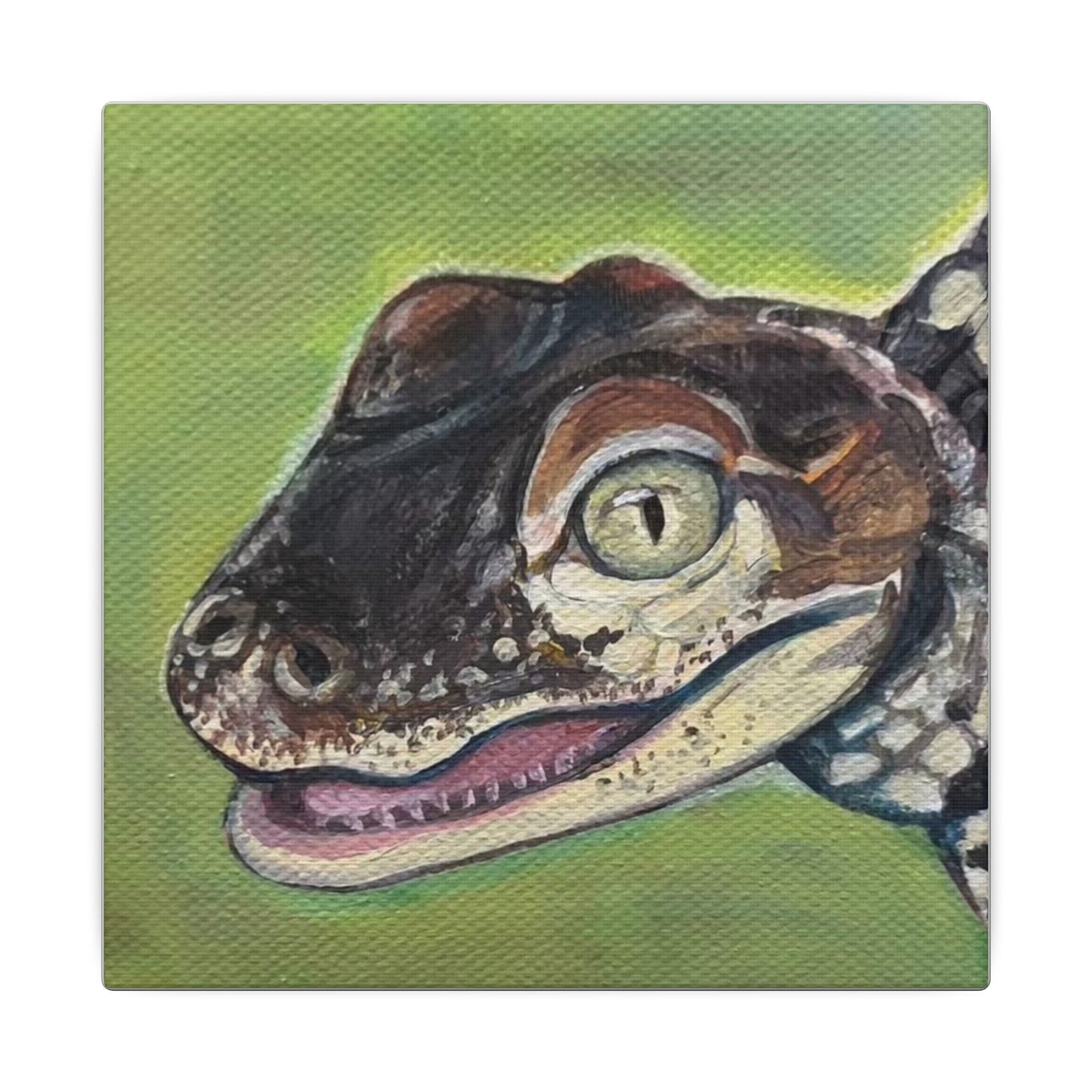 baby alligator Art Canvas print