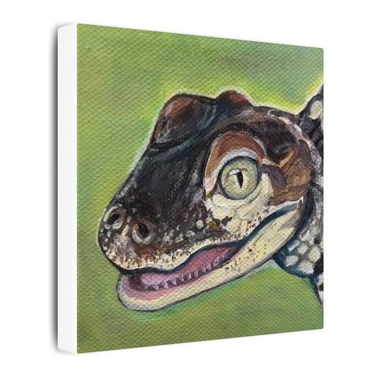baby alligator Art Canvas print