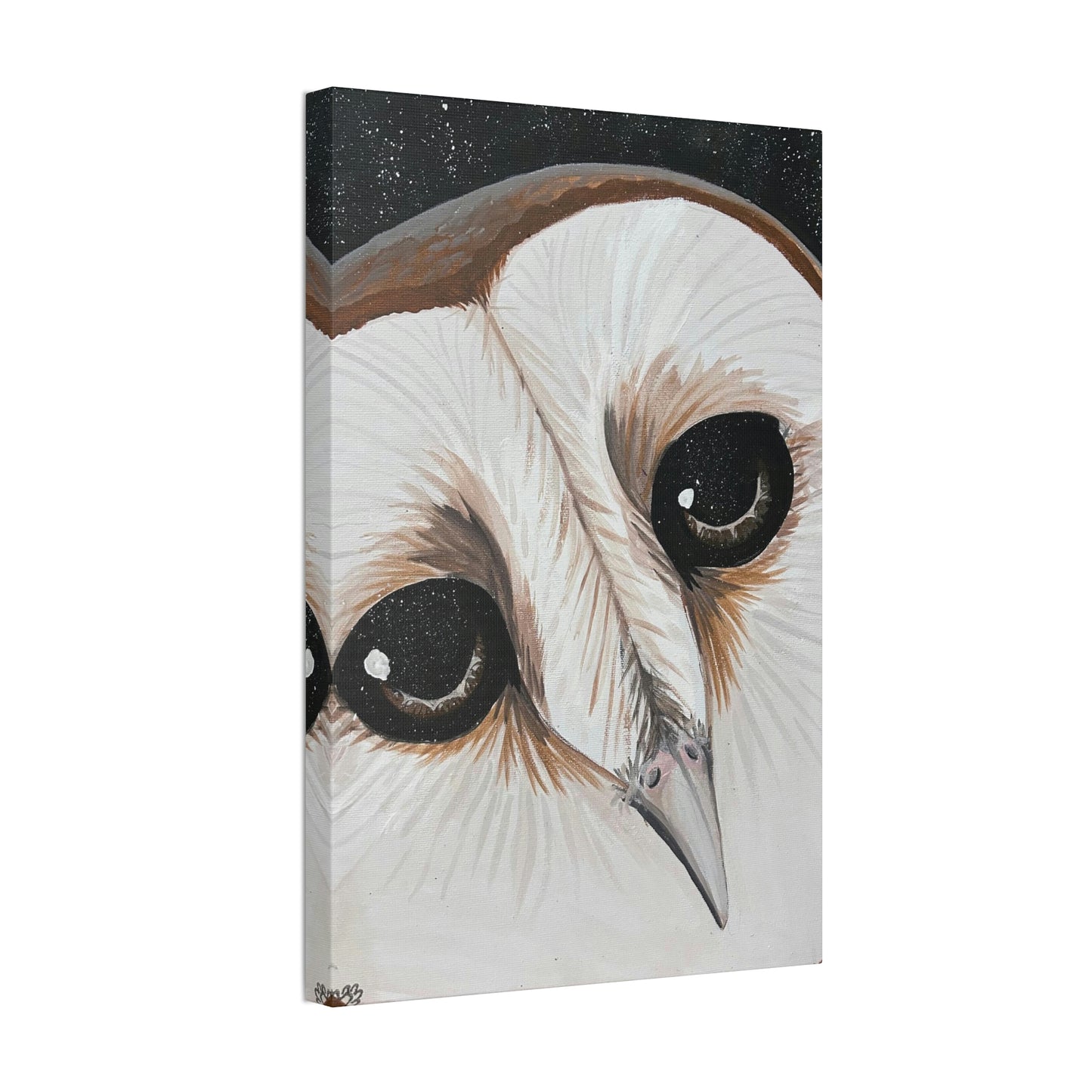 Star Eyed Owl - Canvas