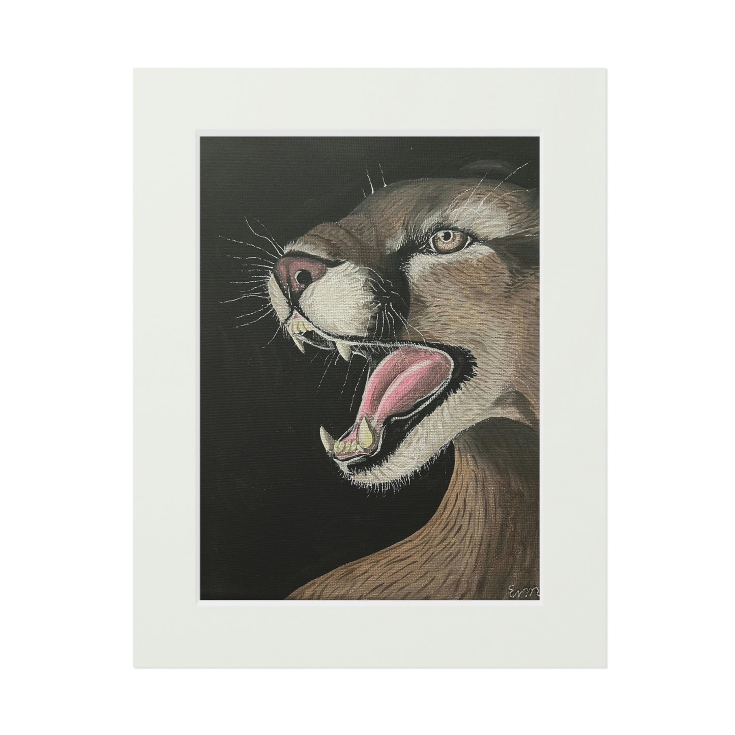 Mountain Lion (Fine Art Prints)