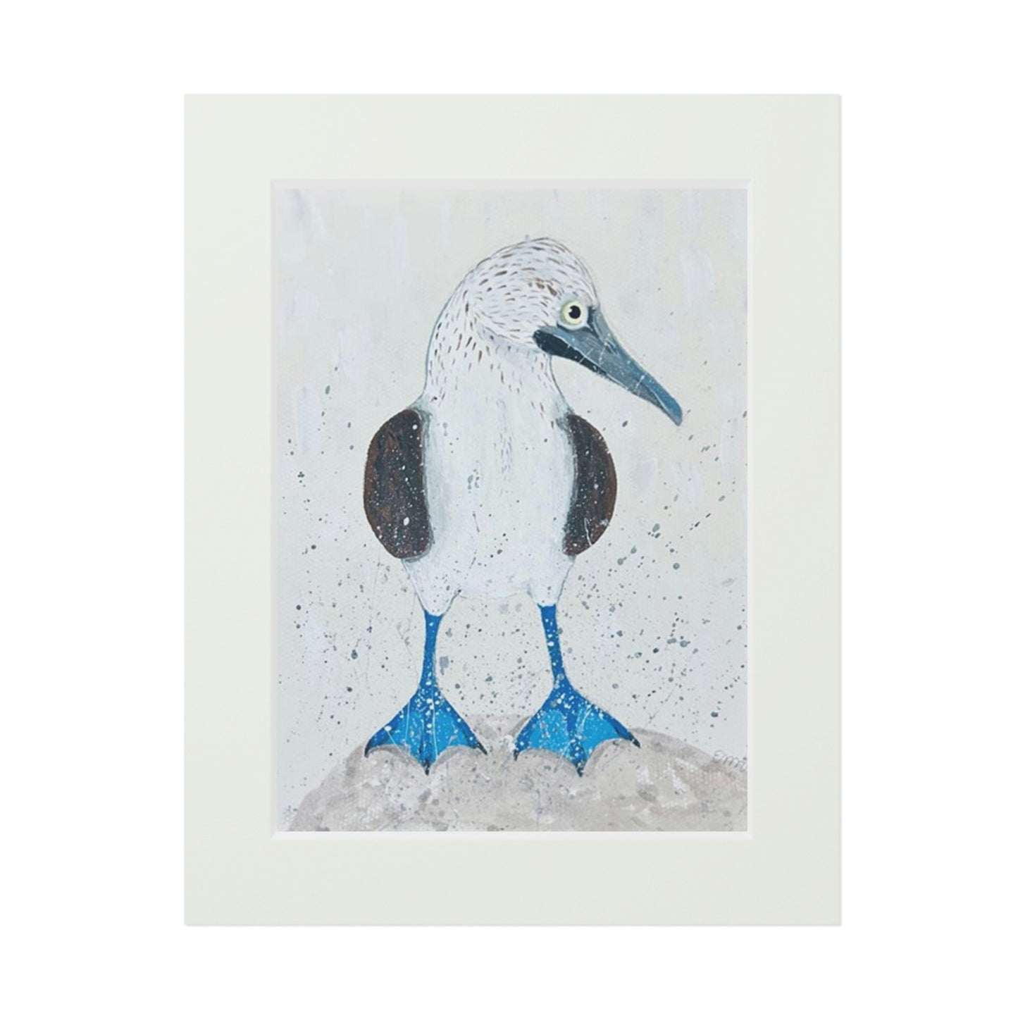 Blue-Footed Booby (Fine Art Prints)