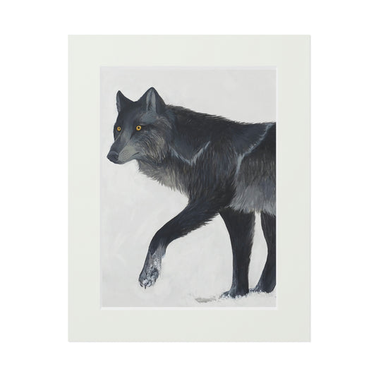 Alpha Wolf (Fine Art Prints)